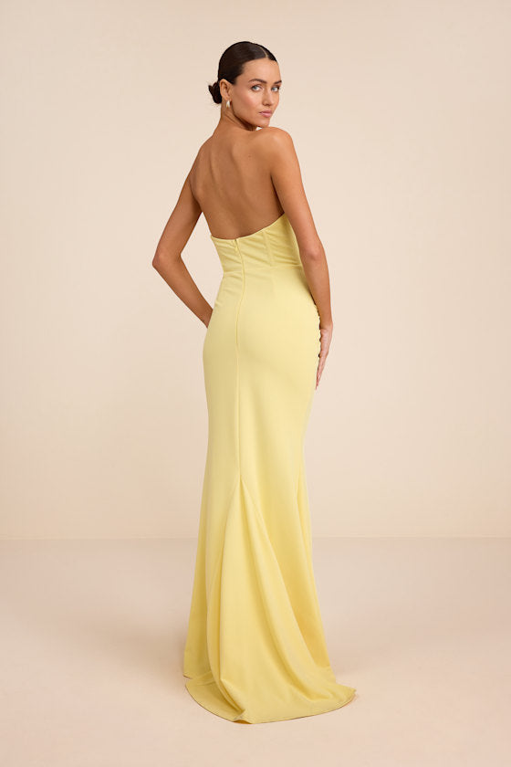 Laney Red Strapless Corset Maxi Dress