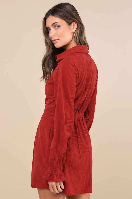 Autumn Mood Dark Brown Corduroy Mini Dress With Pockets