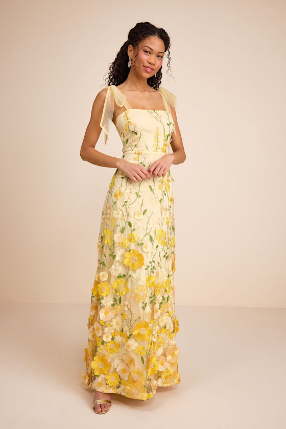 Thriving Poise Blush 3D Floral Embroidered Tie-Strap Maxi Dress